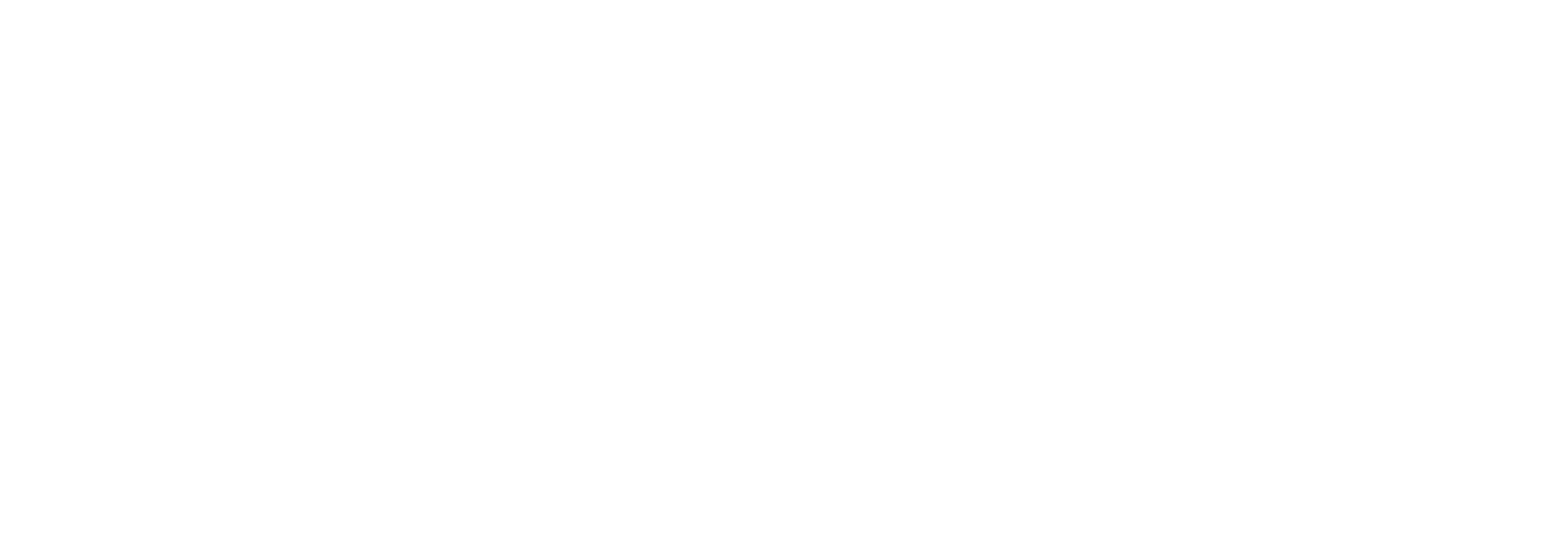 NY State gun permits